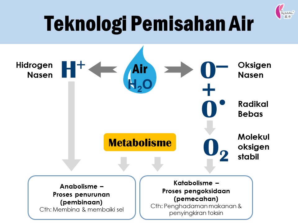 Cellfood technology BM
